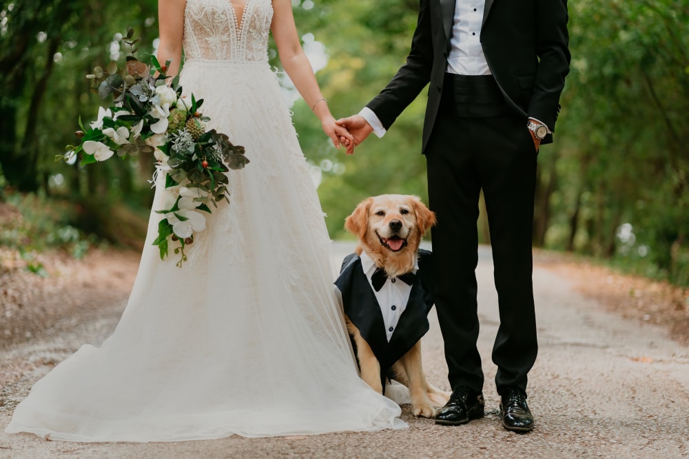 Bride, Groom and a cute dog dressed in suits with them
