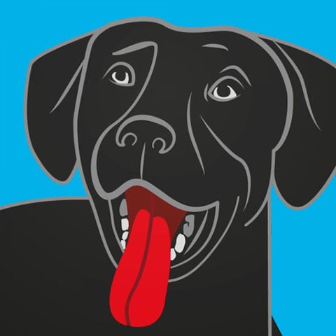 BringFido