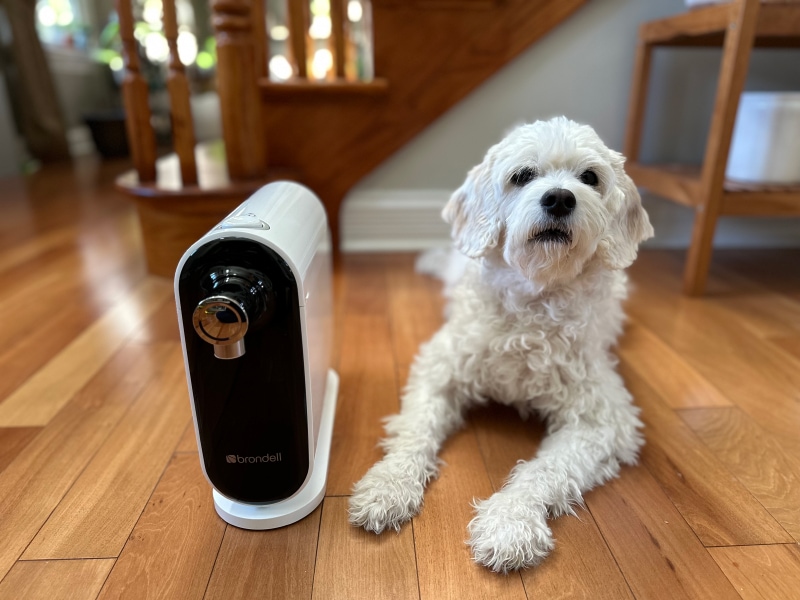 Brondell Cypress Three-Stage Countertop Water Filtration System - nora lying next to the product