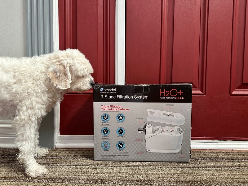 Brondell Cypress Three-Stage Countertop Water Filtration System - nora sniffing the box