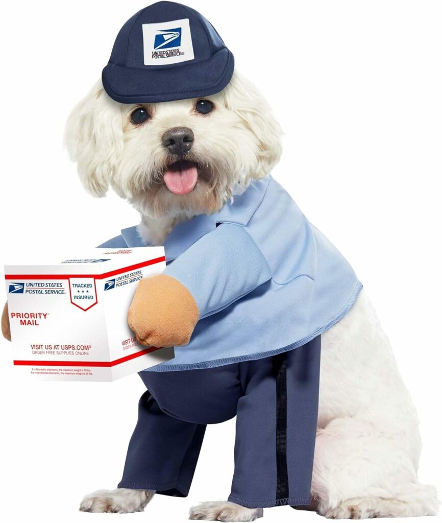 California Costumes USPS Delivery Driver Dog & Cat Costume
