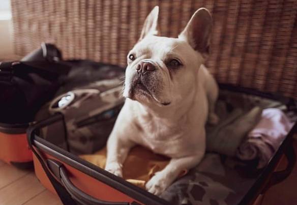 Candlewood Suites Downtown