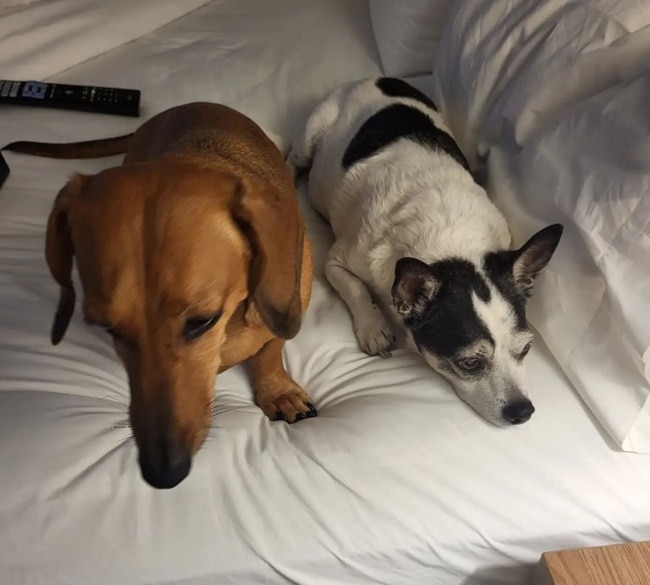 Candlewood Suites Fayetteville Fort Bragg