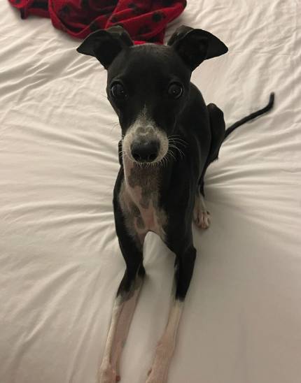 Candlewood Suites Fort Myers - Sanibel Gateway