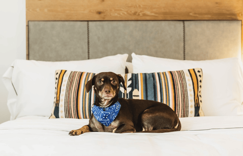 Canopy by Hilton San Antonio Riverwalk_canopysatx