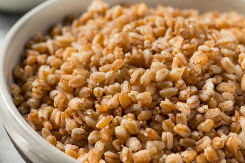 Cooked Organic Farro Grain in a Bowl