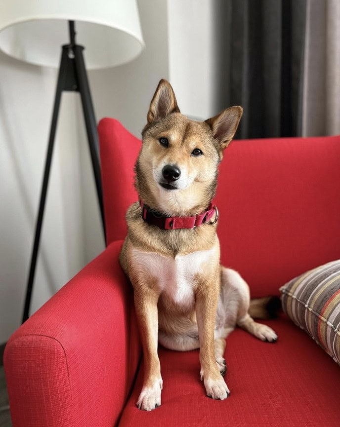 Country Inn & Suites by Radisson, San Diego North, CA_Katsu.shibe