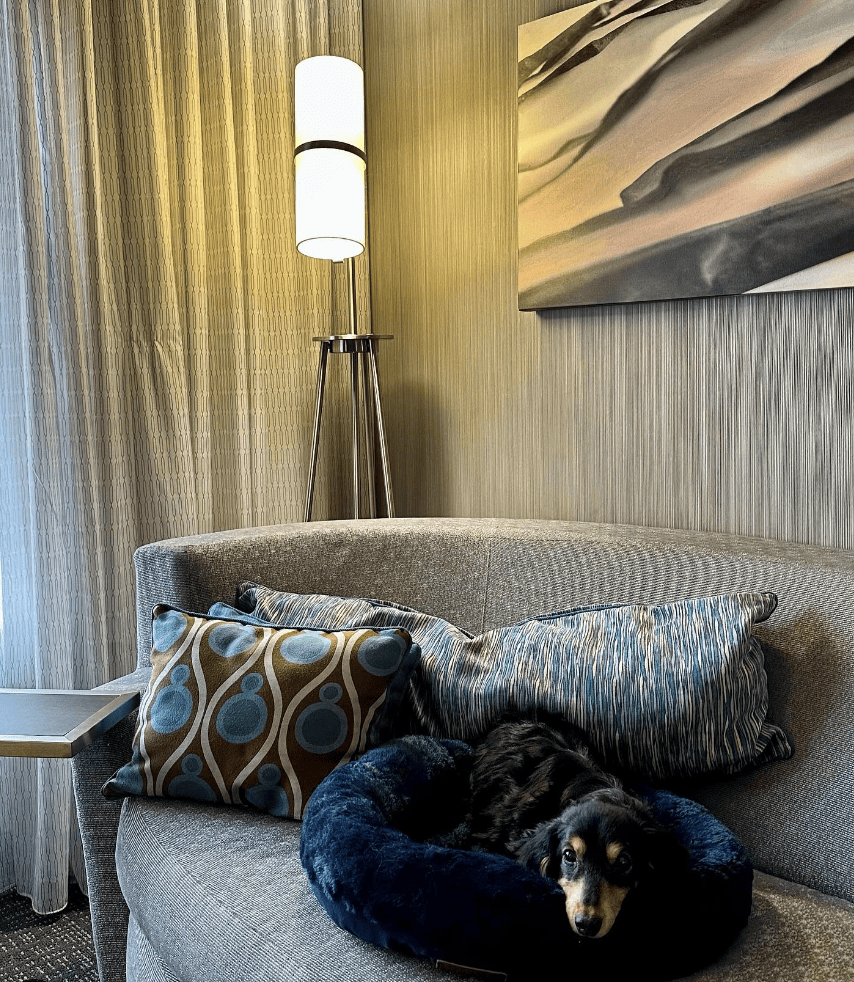 Courtyard by Marriott Flagstaff_jacksondreynolds