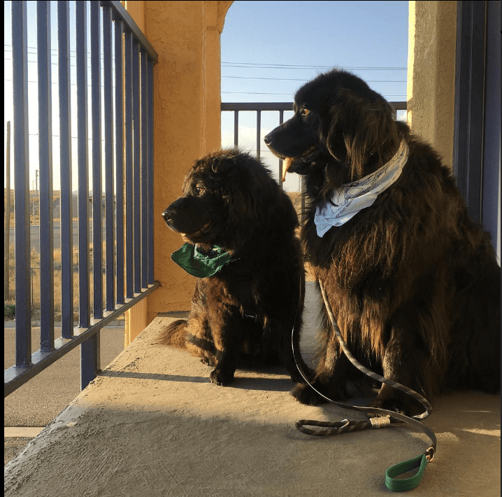 Days Inn by Wyndham Tucumcari_jessb35