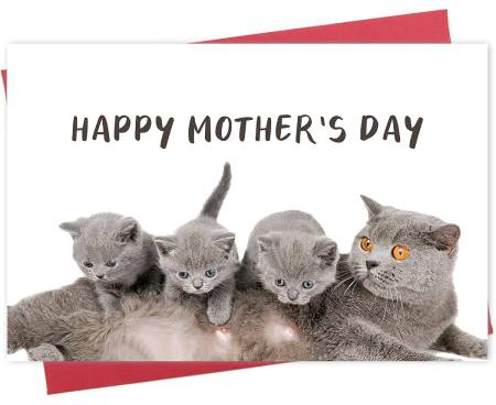 Decolove Mother's Day Card