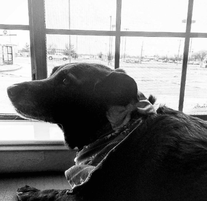 Desert Inn Tucumcari_dawn_brodey