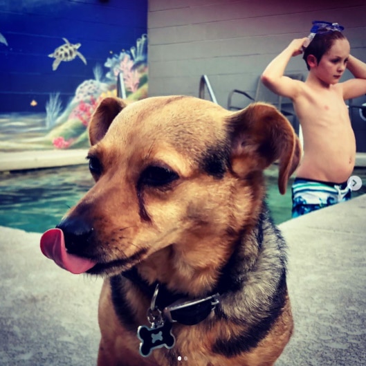 Desert hot spring inn