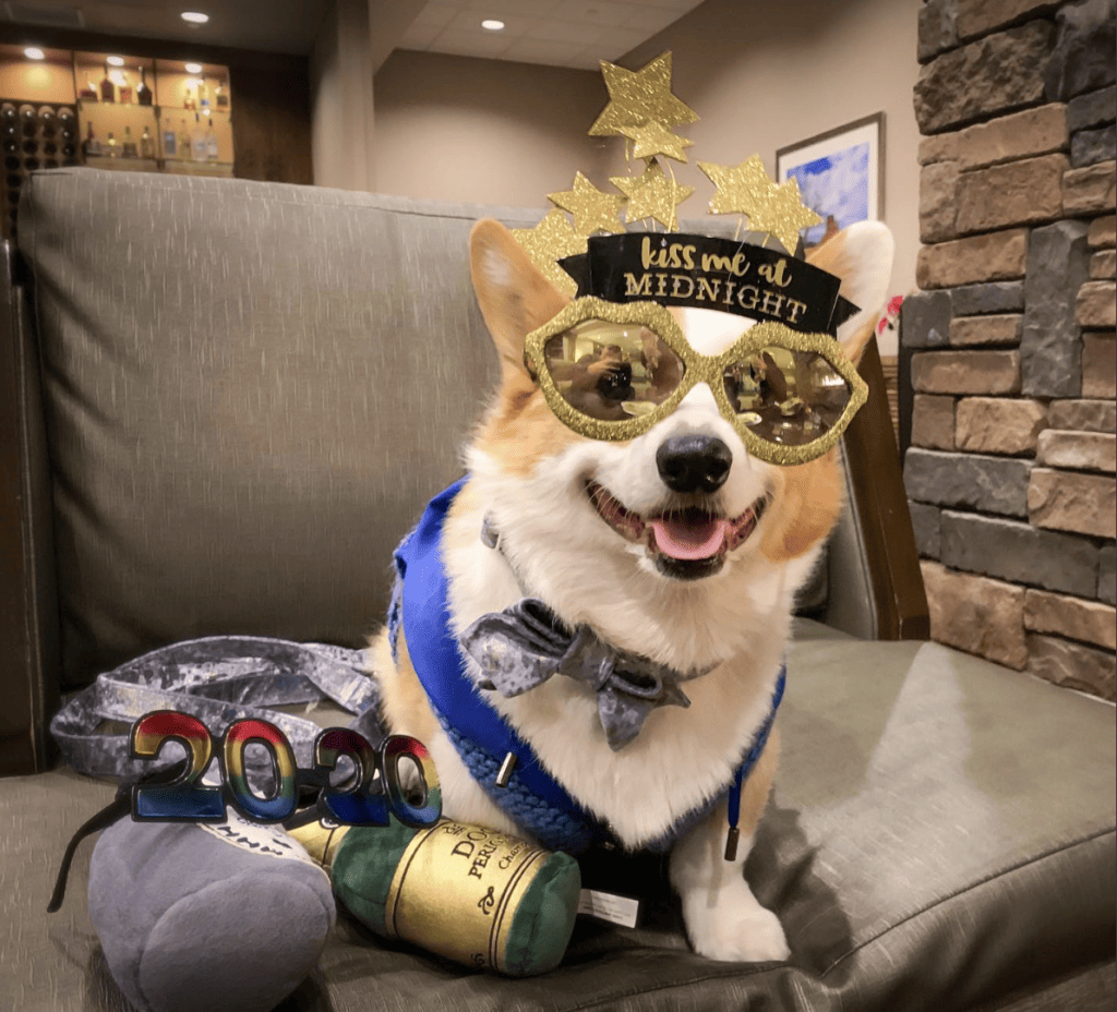 DoubleTree by Hilton Hotel Flagstaff_corgiclubcolton