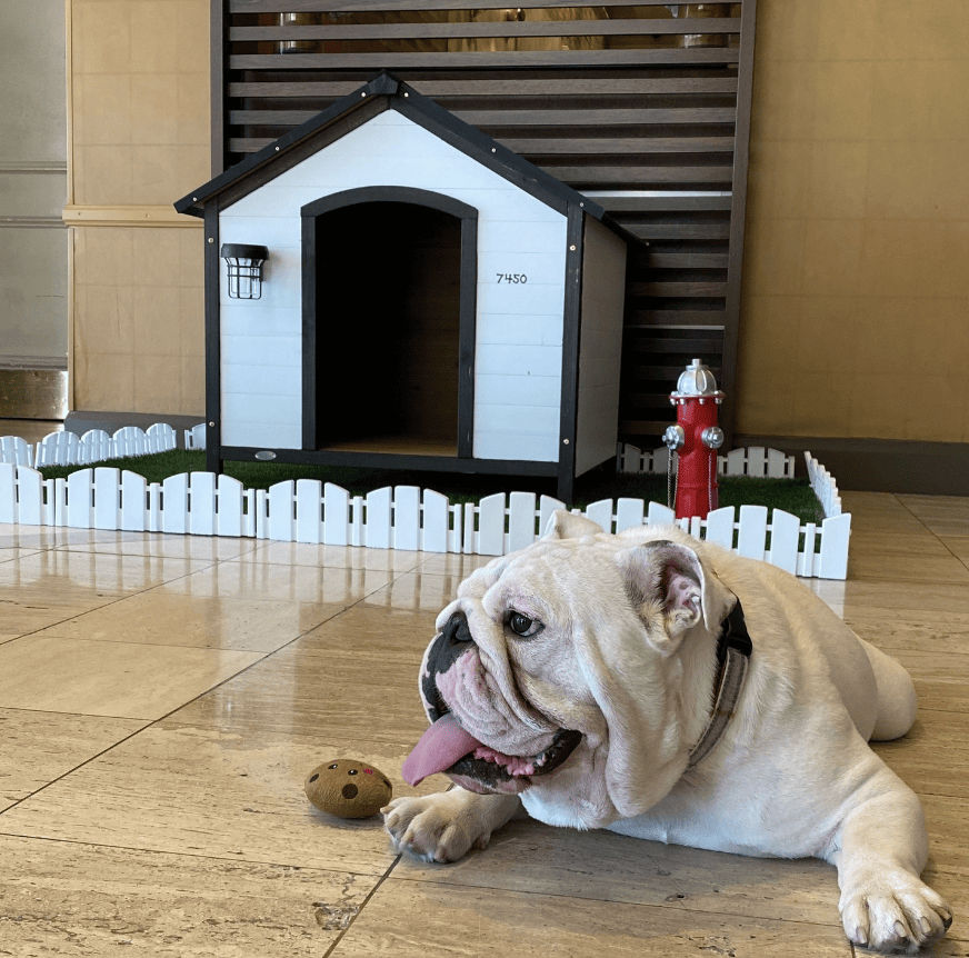 DoubleTree by Hilton Hotel San Diego – Mission Valley_doubletreesandiego