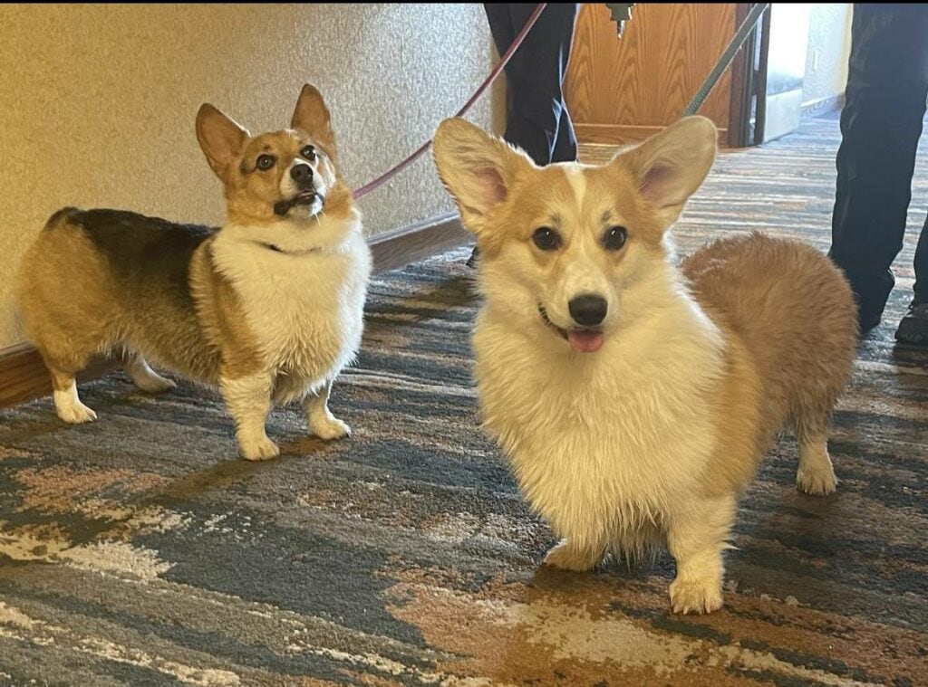 Doubletree by Hilton Hotel Durango