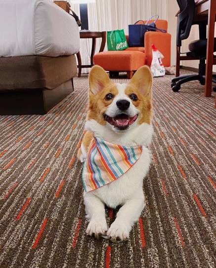 Drury Inn & Suites Fort Myers Airport FGCU