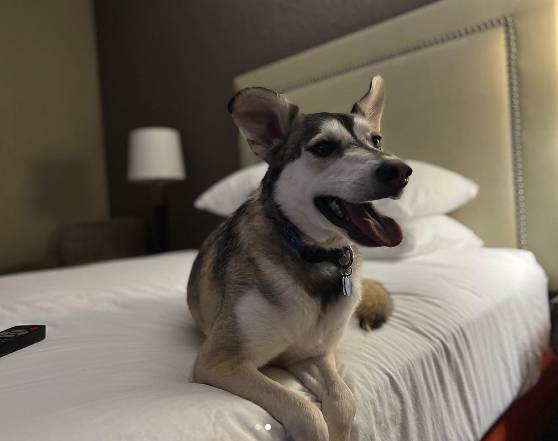 Drury Inn & Suites1