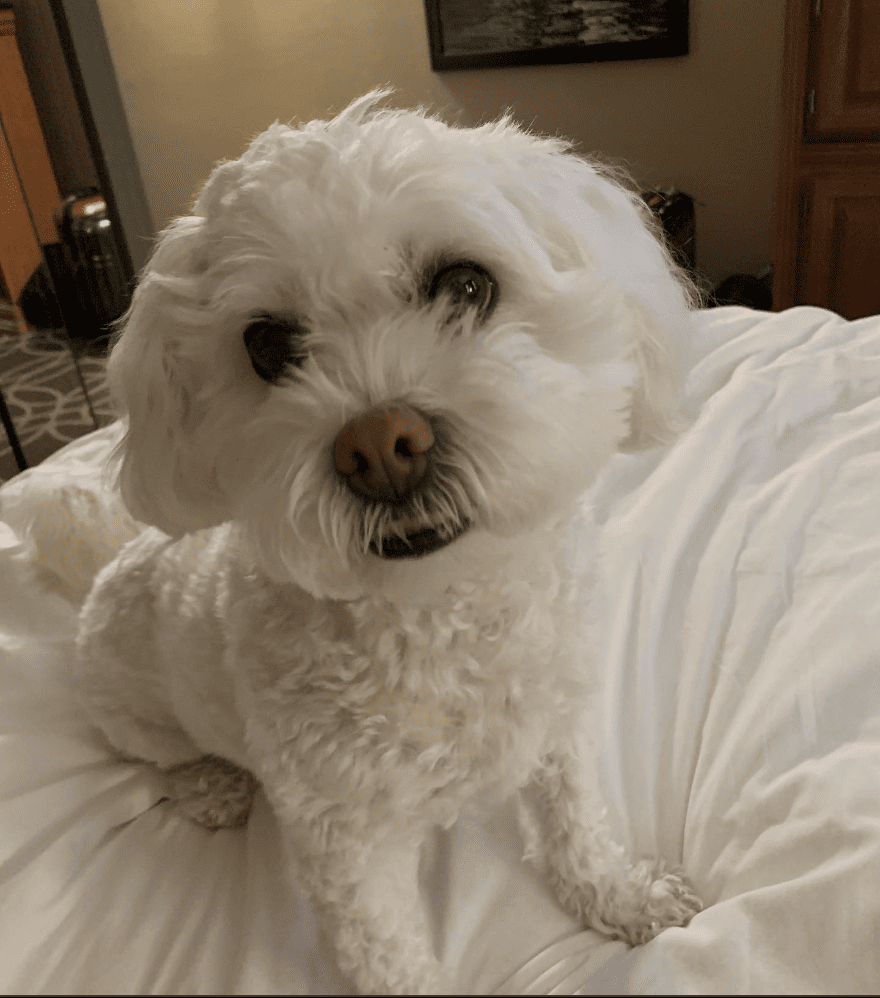 Drury Plaza Hotel San Antonio Riverwalk_jeanetteruscitti