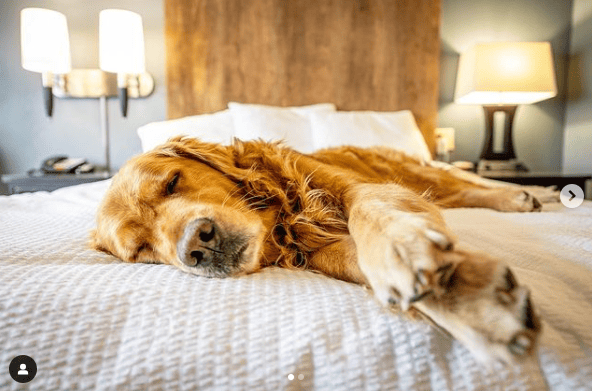 Extended Stay America