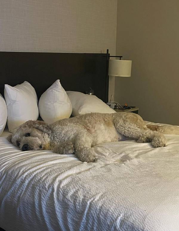 Fairfield Inn & Suites by Marriott Ocean City