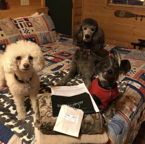 Fireside Lodge Lake Tahoe