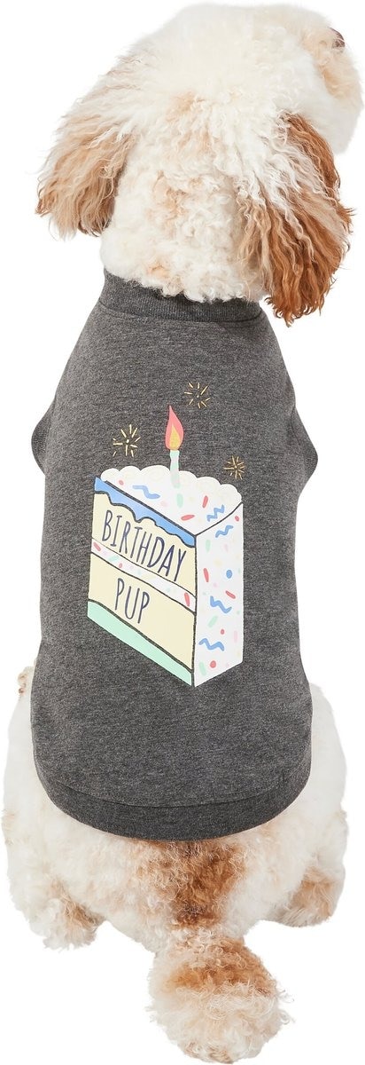 Frisco Birthday Pup Dog shirt