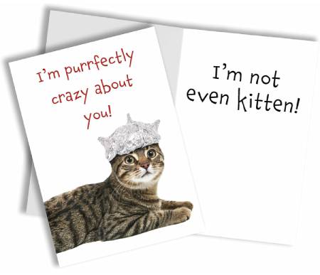 Funny Romantic Cat Valentine's Day card