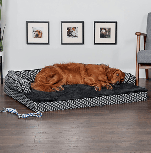 FurHaven Comfy Couch Orthopedic Bolster Dog Bed
