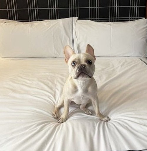 Godfrey Hotel Boston