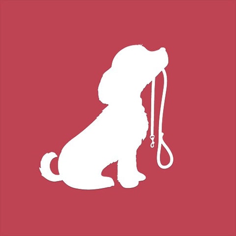 GoodPup Dog Training at Home