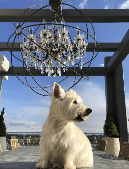 Halcyon, a hotel in Cherry Creek