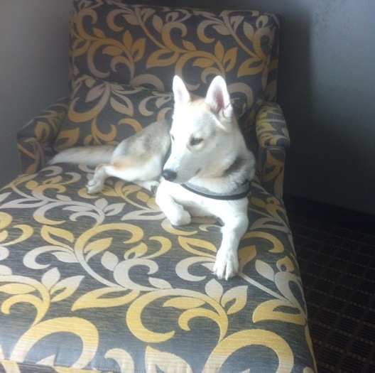 Hampton Inn And Suites