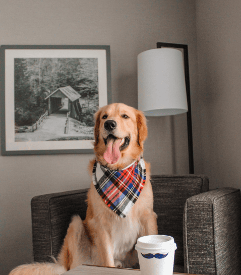 Hampton Inn Houston