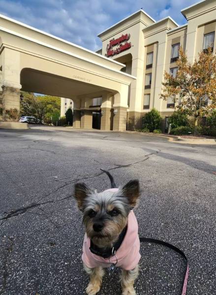Hampton Inn and Suites