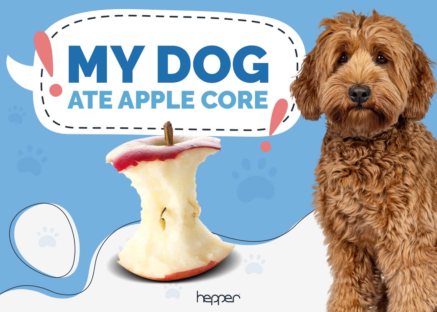 My Dog Ate an Apple Core