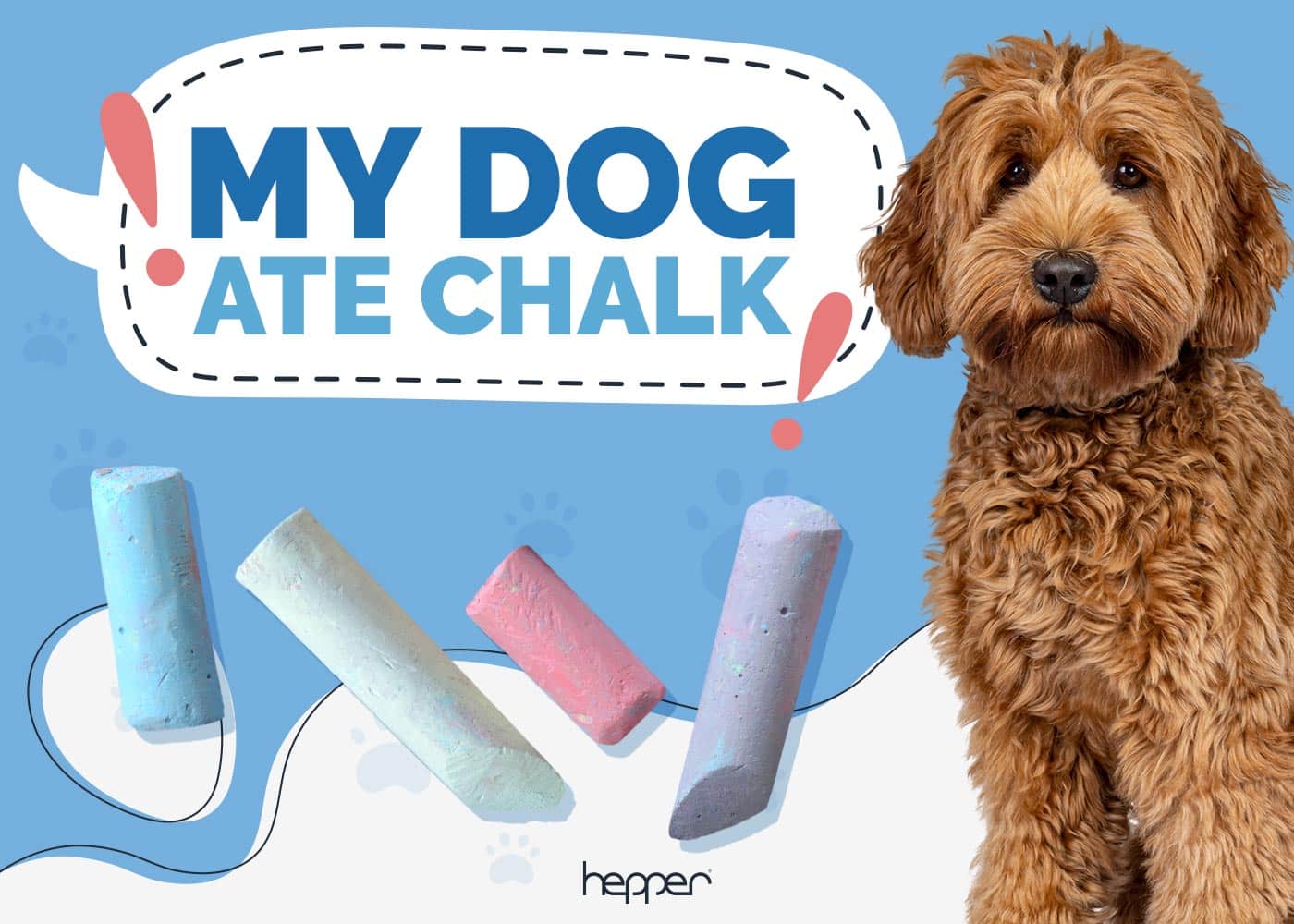 My Dog Ate Chalk
