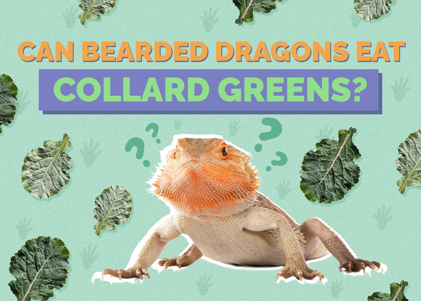 Hepper_Can Bearded Dragons Eat_Collard Greens 2024