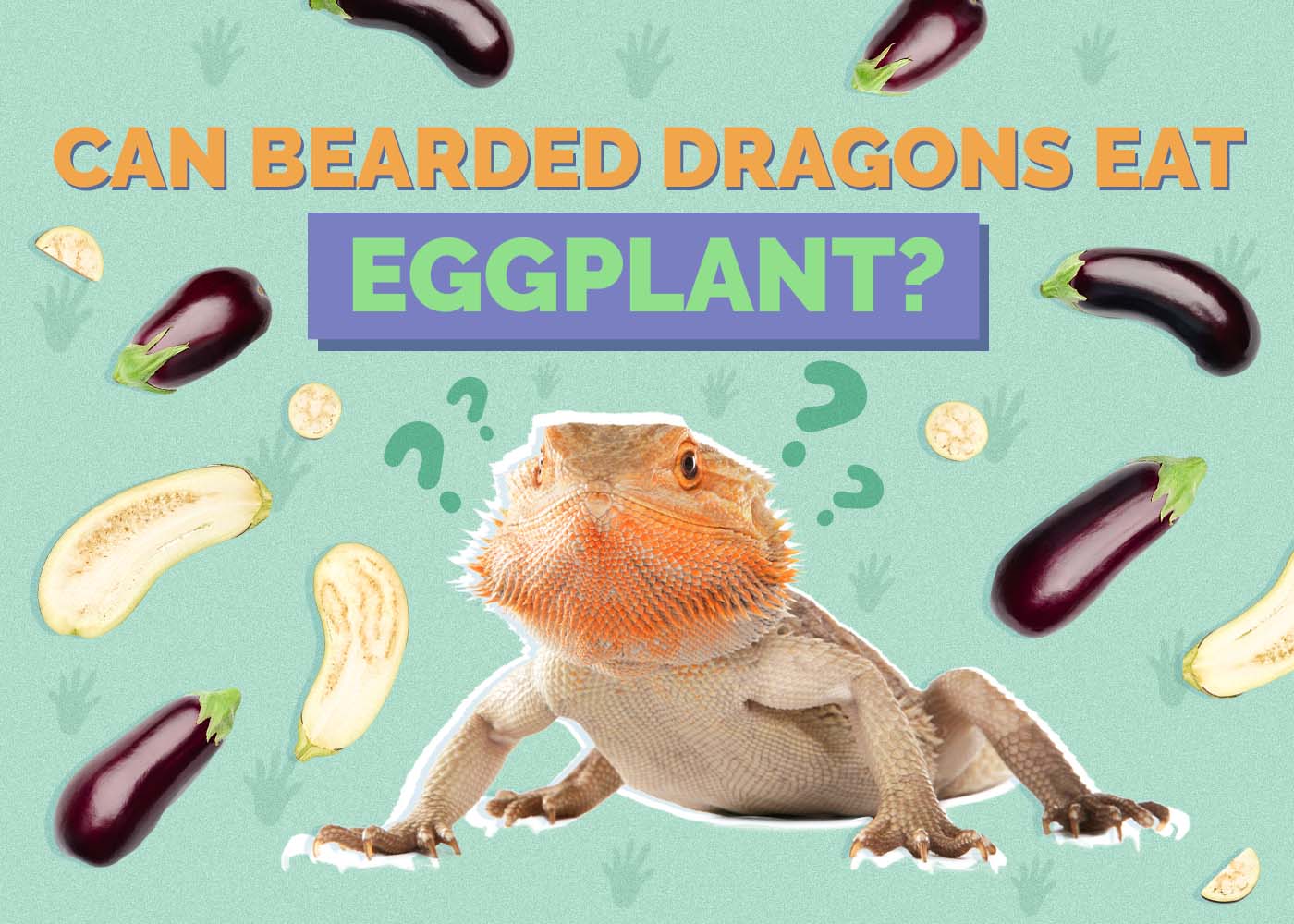 Hepper_Can Bearded Dragons Eat_Eggplants 2024