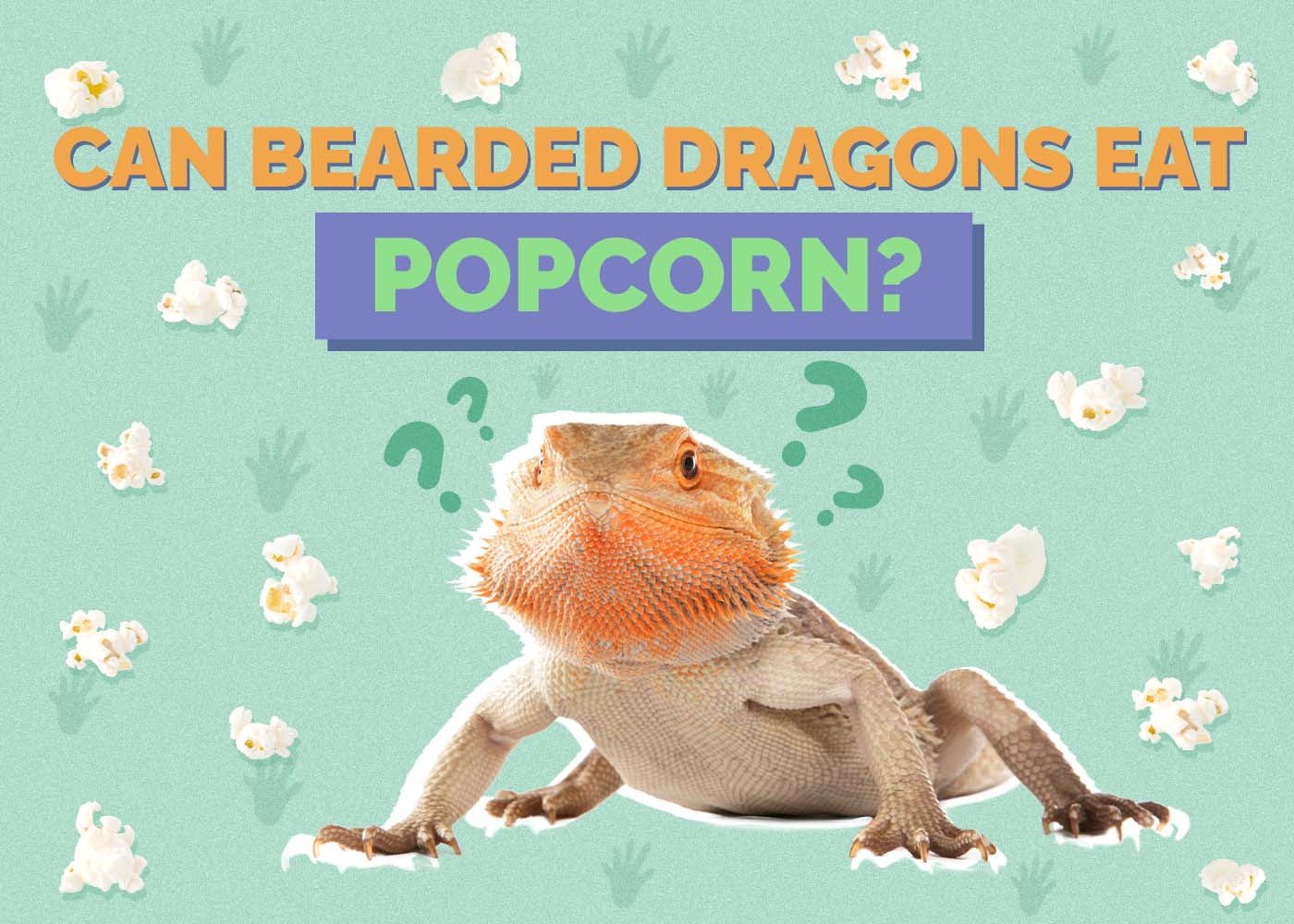 Hepper_Can Bearded Dragons Eat_Popcorn 2024