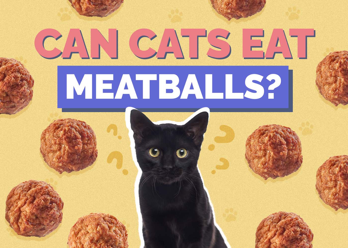 Hepper_Can Cats Eat_Meatballs 2024