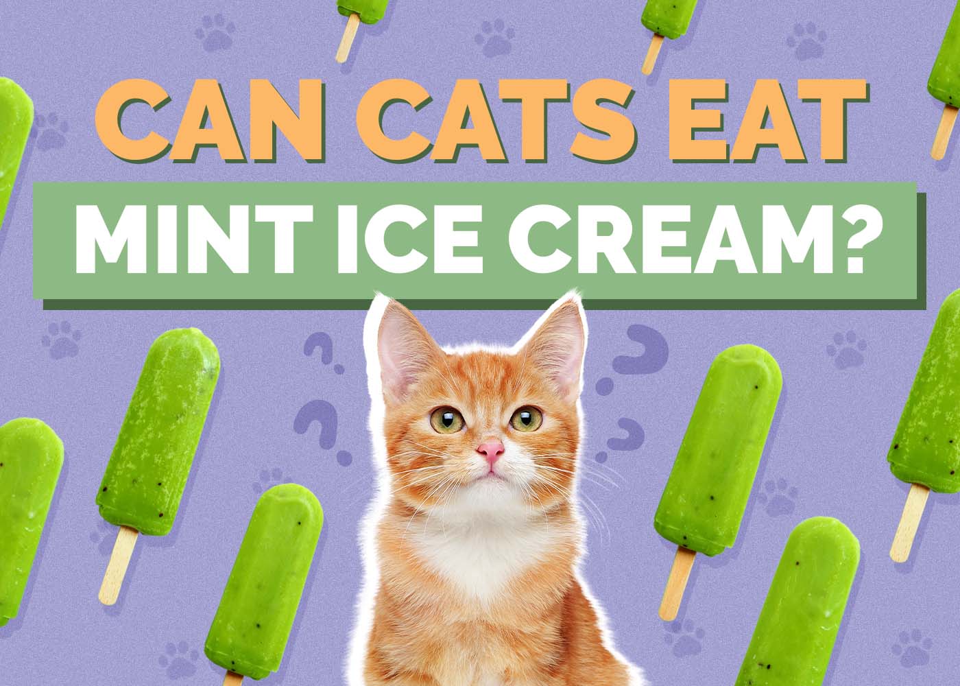 Hepper_Can Cats Eat_Mint Ice Cream 2024