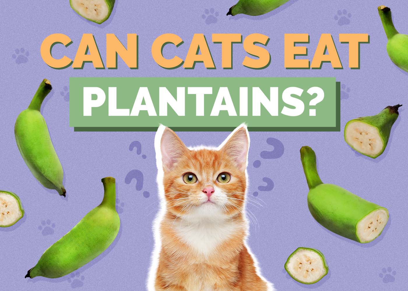 Hepper_Can Cats Eat_Plantains 2024