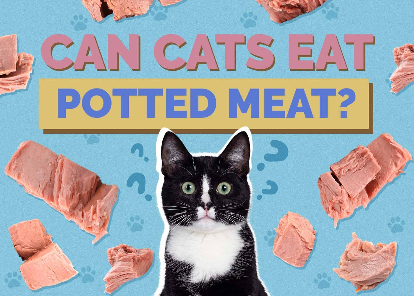 Hepper_Can Cats Eat_Potted Meat