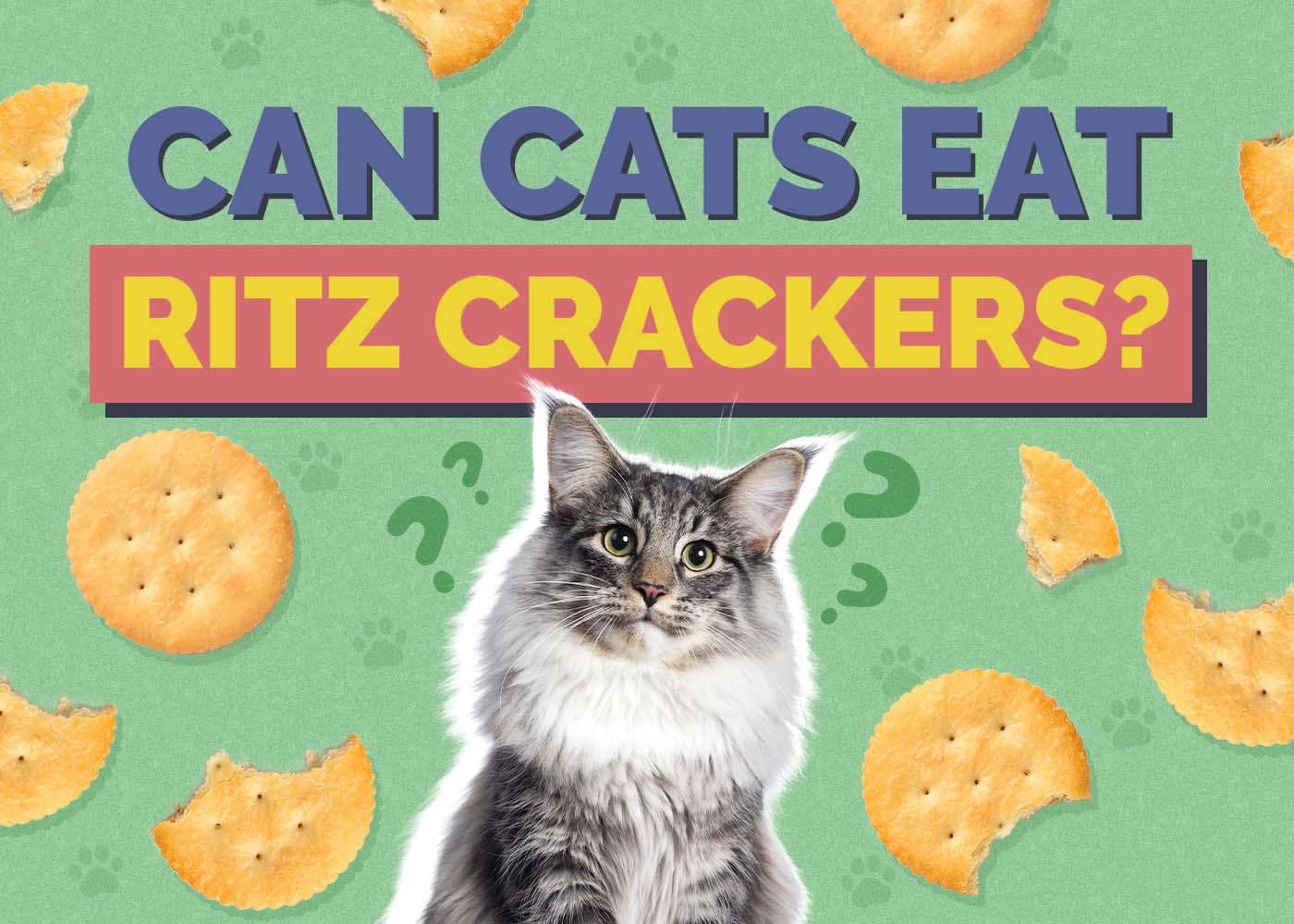 Hepper_Can Cats Eat_Ritz Crackers