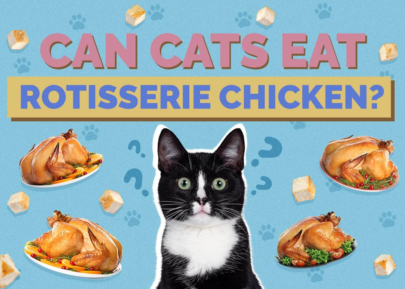 Hepper_Can Cats Eat_Rotisserie Chicken