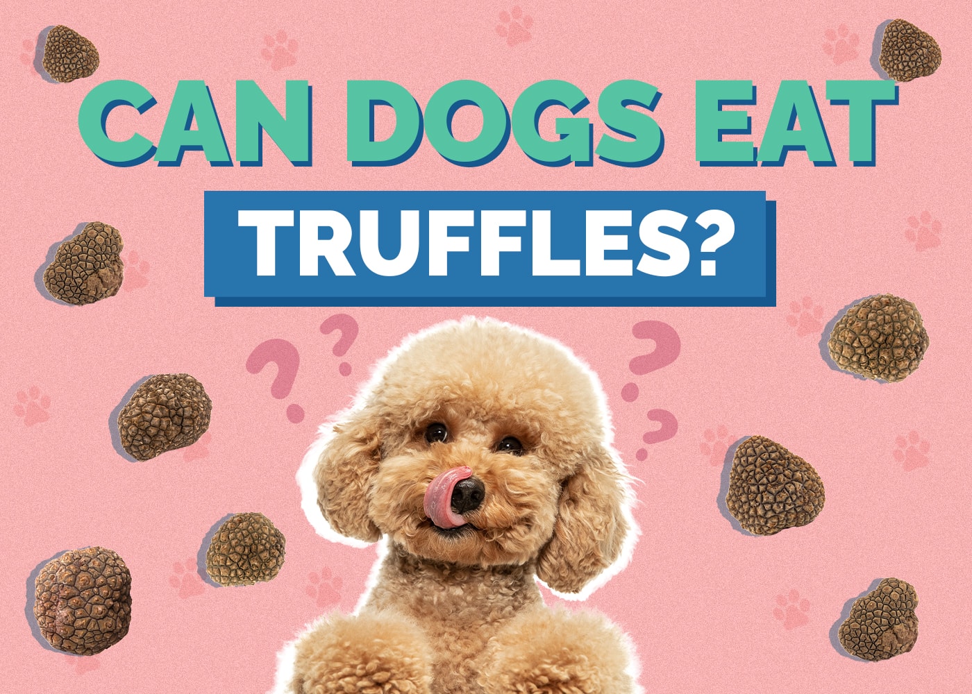 Can Dogs Eat Truffles