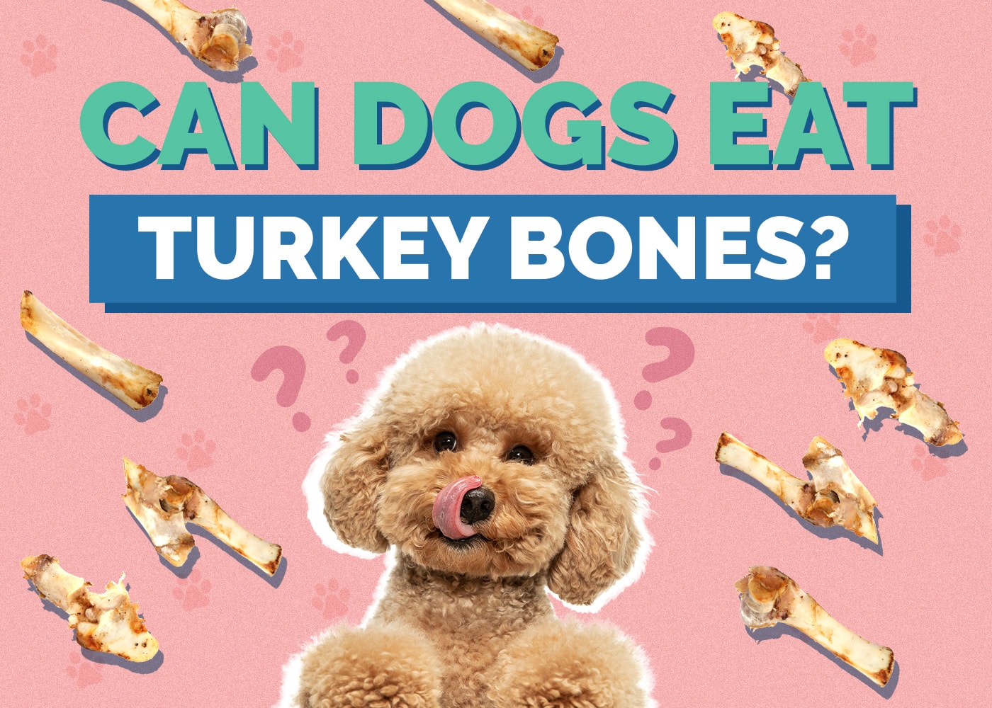Can Dogs Eat Turkey Bones