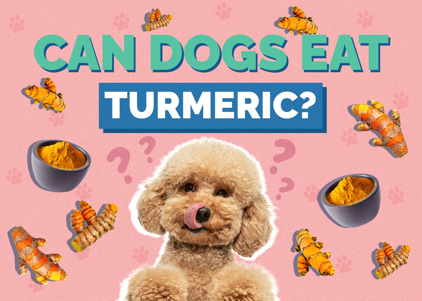 Can Dogs Eat Turmeric
