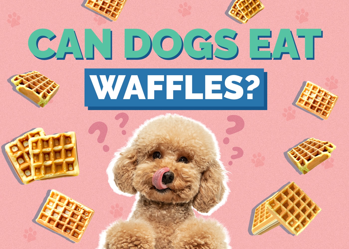 Can Dogs Eat Waffles