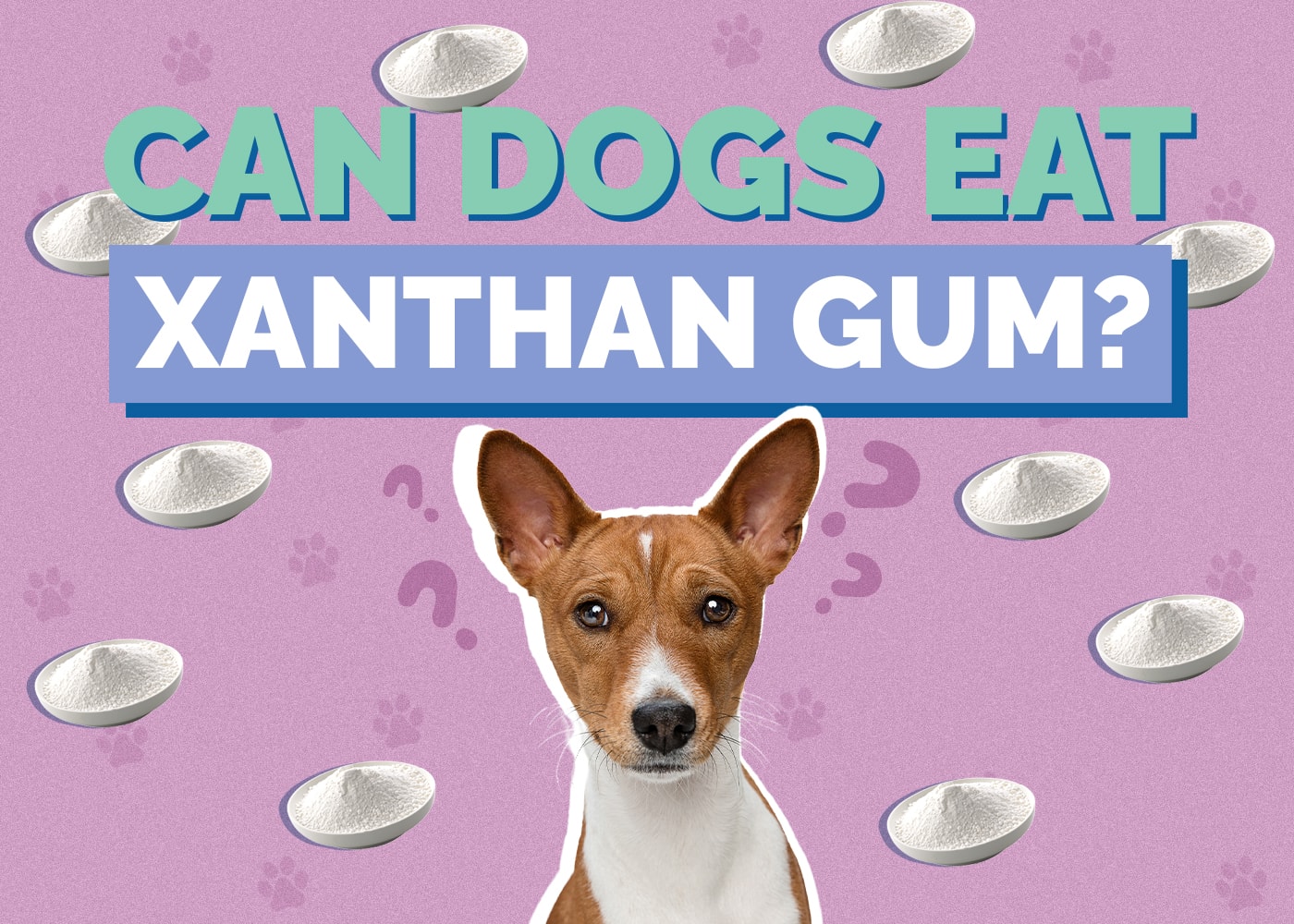 Can Dogs Eat Xanthan Gum